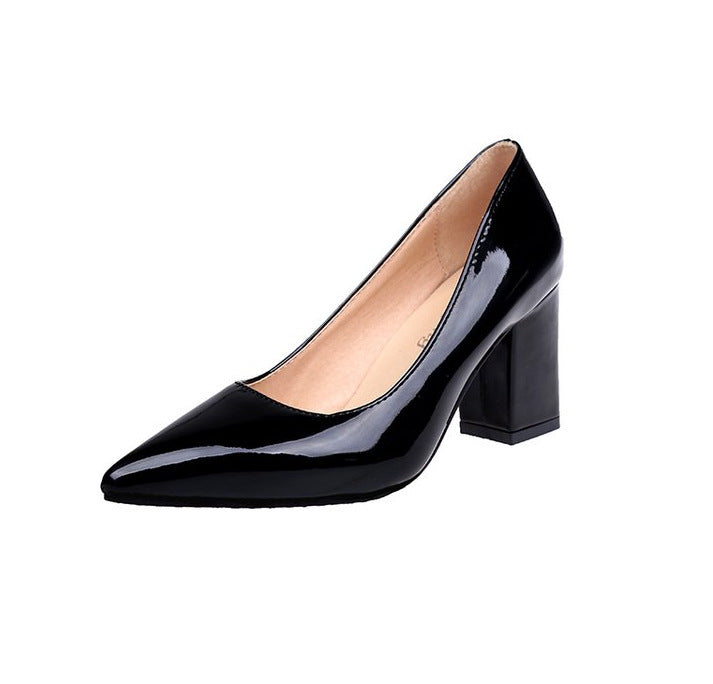 Chic Pointed Toe Heels by Sophie Laurie