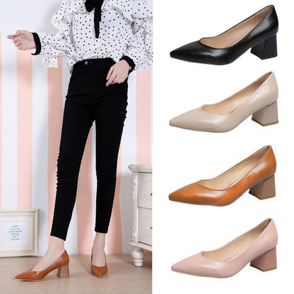 Chic Pointed Toe Heels by Sophie Laurie