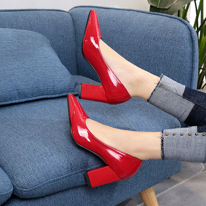 Chic Pointed Toe Heels by Sophie Laurie