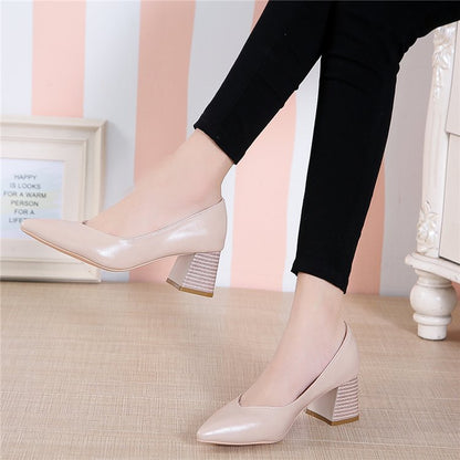 Chic Pointed Toe Heels by Sophie Laurie