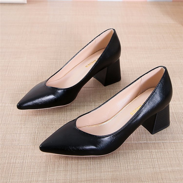 Chic Pointed Toe Heels by Sophie Laurie