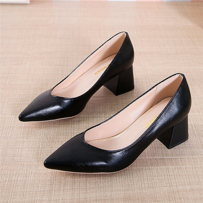 Chic Pointed Toe Heels by Sophie Laurie
