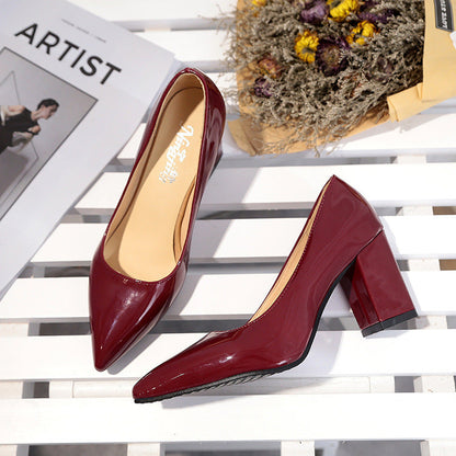 Chic Pointed Toe Heels by Sophie Laurie